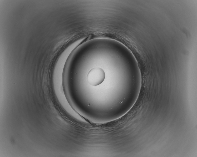 X0000112810740200908211144