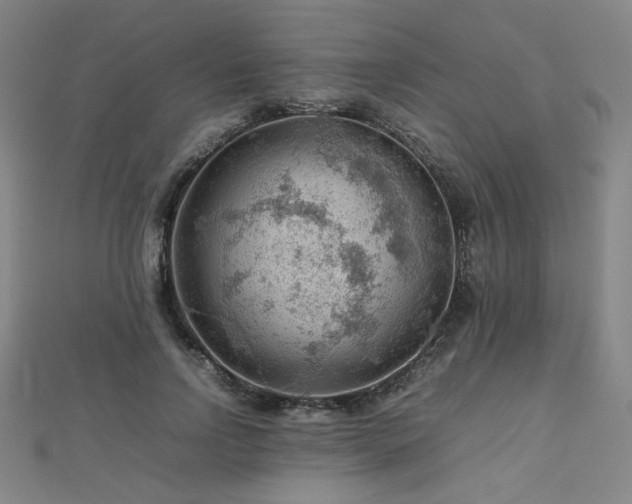 X0000112810742200908211144