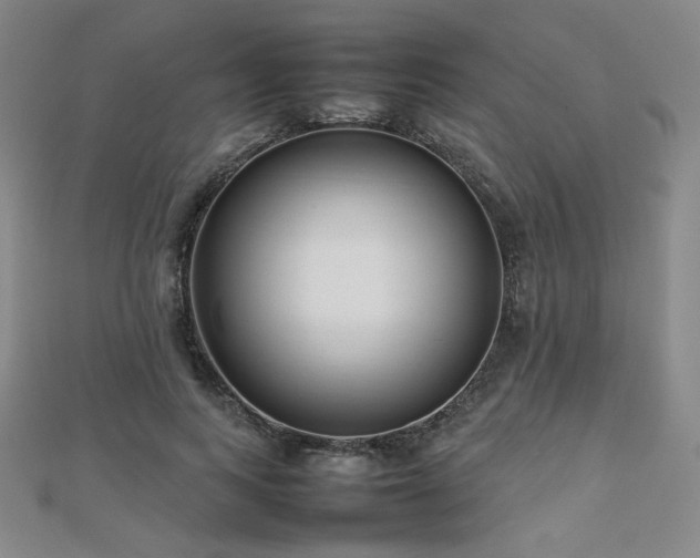 X0000112810743200908211144