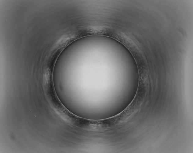 X0000112810744200908211144