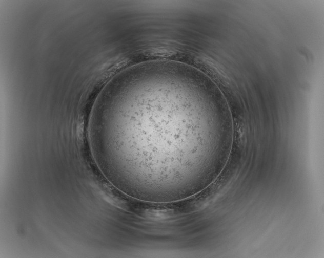 X0000112810745200908211144