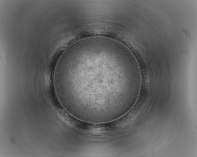 X0000112810746200908211144