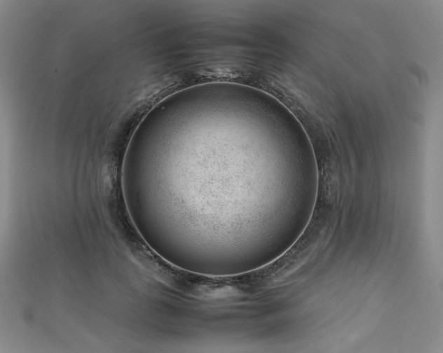 X0000112810747200908211144