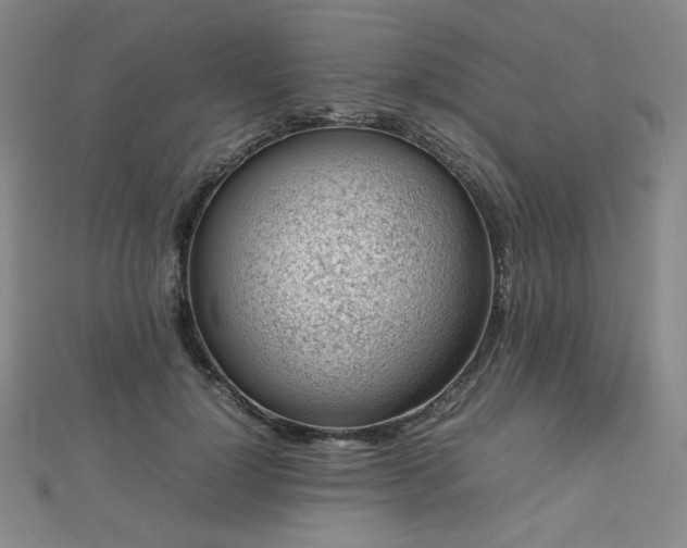 X0000112810748200908211144
