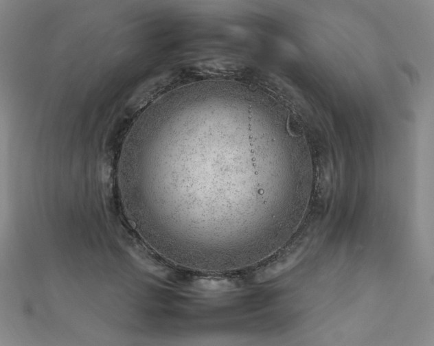 X0000112810749200908211144