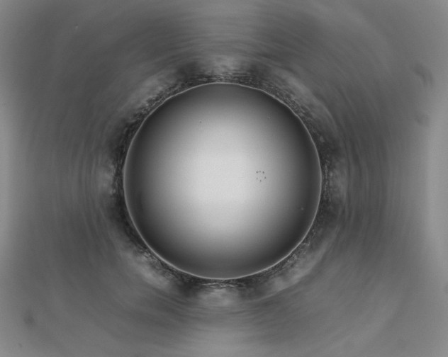 X0000112810750200908211144