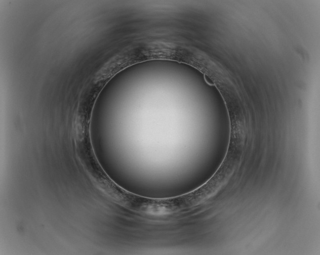 X0000112810751200908211144