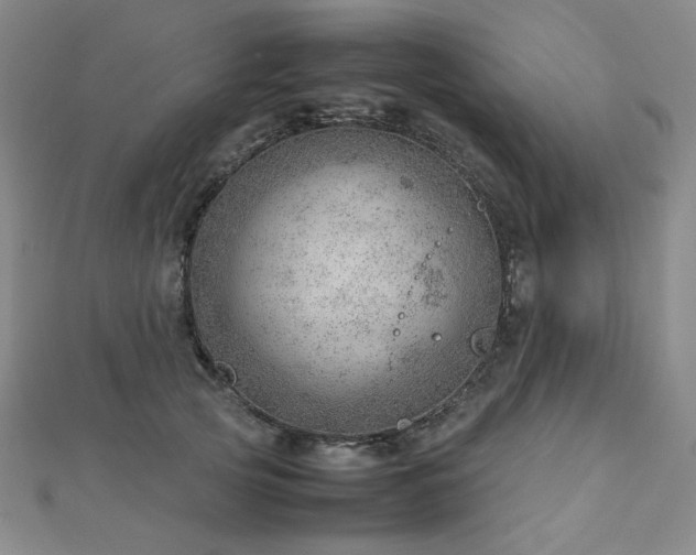 X0000112810753200908211144