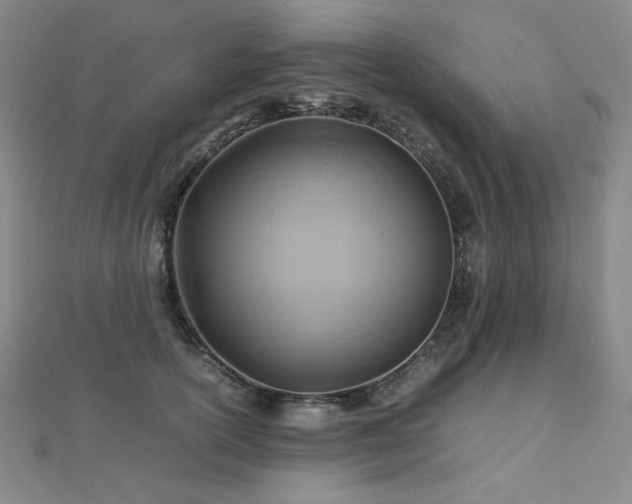X0000112810754200908211144