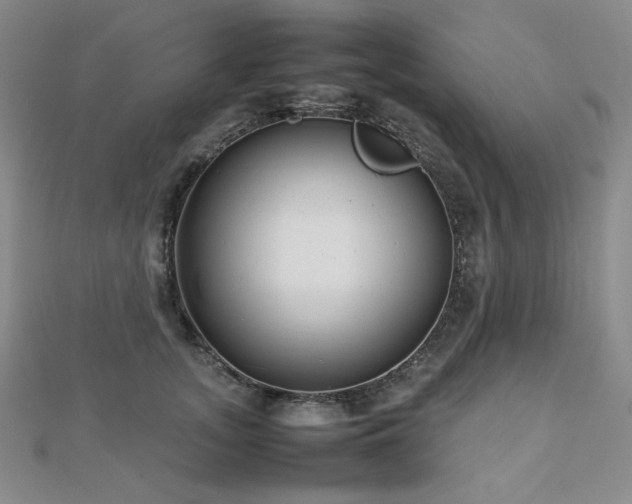X0000112810755200908211144