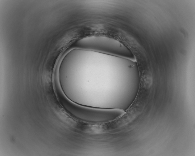 X0000112810756200908211144