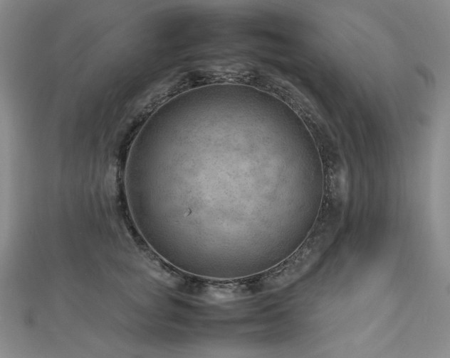 X0000112810757200908211144