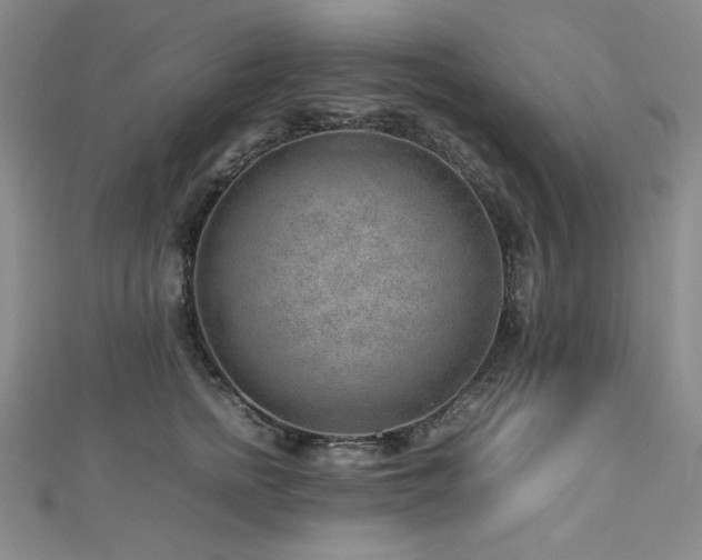 X0000112810758200908211144
