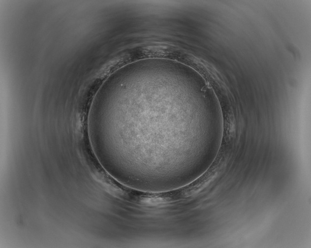 X0000112810759200908211144