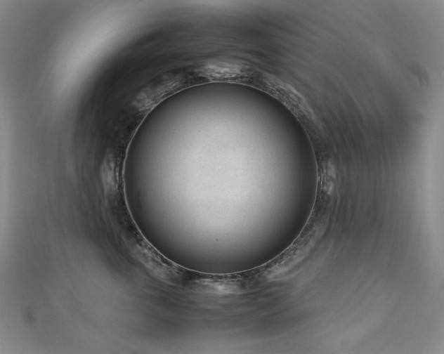 X0000112810763200908211144