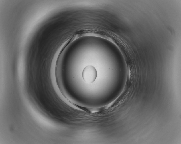 X0000112810764200908211144