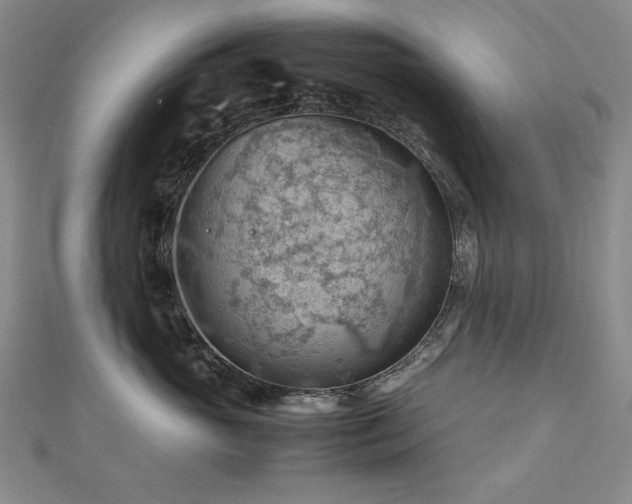 X0000112810765200908211144