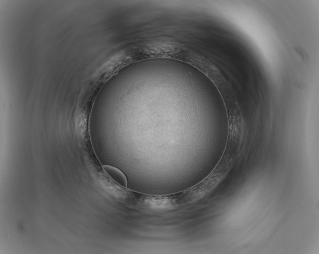 X0000112810767200908211144