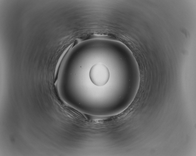 X0000112810768200908211144