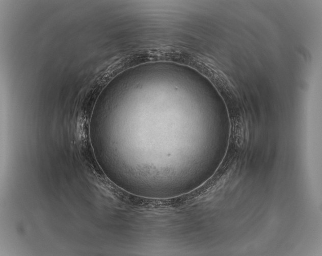 X0000112810770200908211143