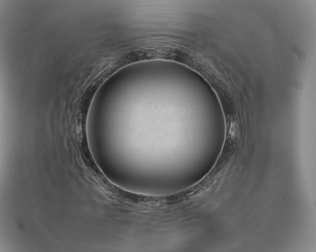 X0000112810771200908211143