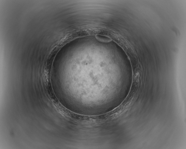 X0000112810772200908211143