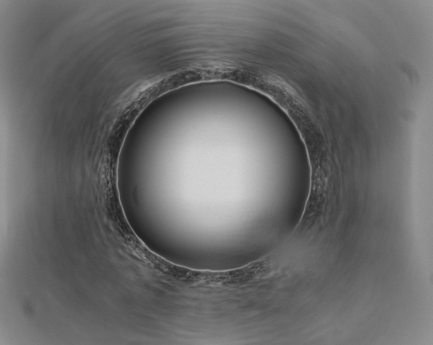 X0000112810773200908211143