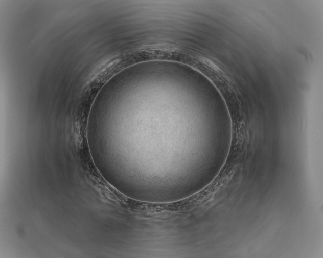 X0000112810774200908211143