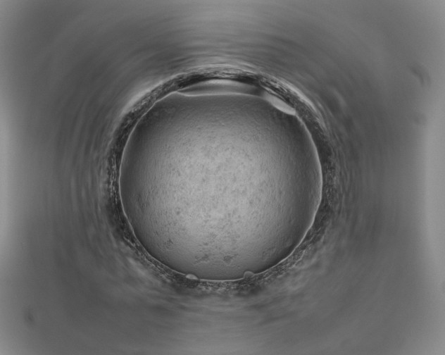 X0000112810775200908211143