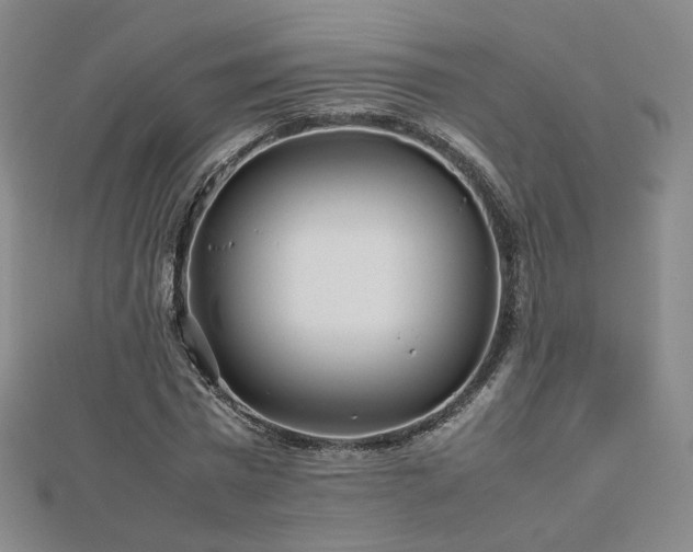 X0000112810777200908211143