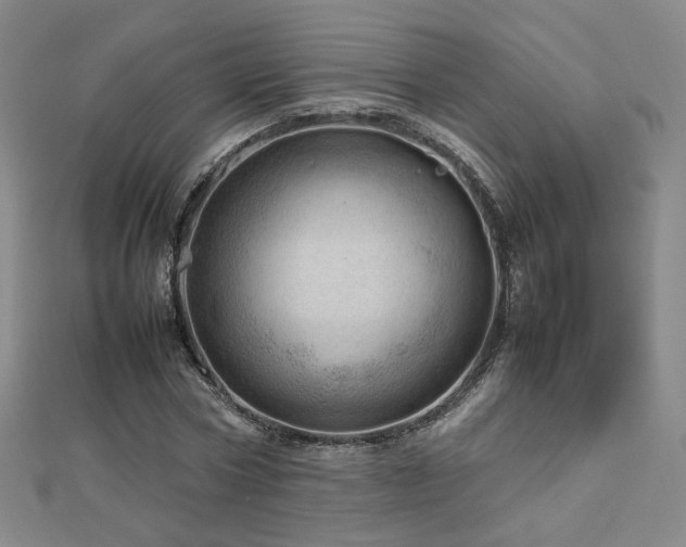 X0000112810778200908211143