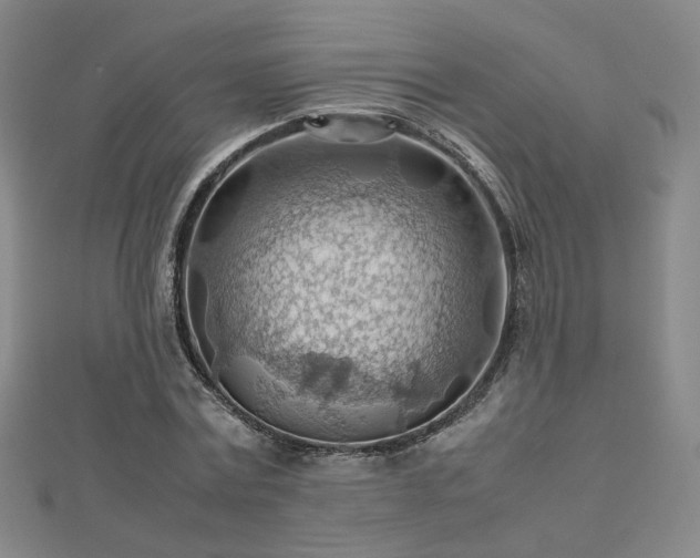 X0000112810779200908211143