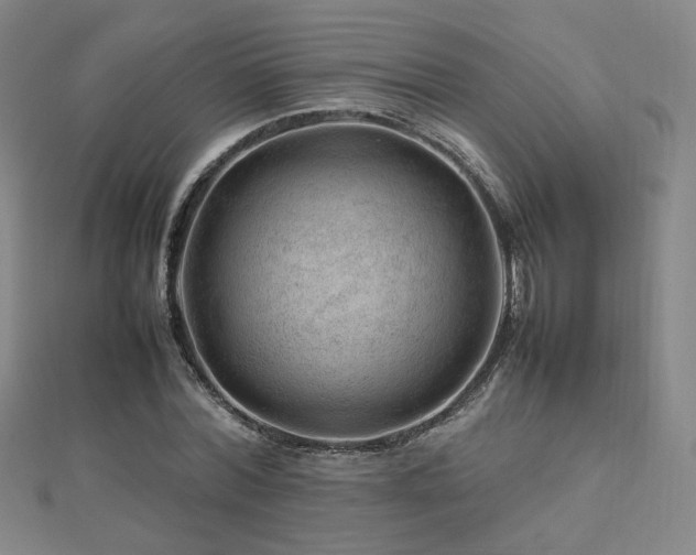 X0000112810780200908211143
