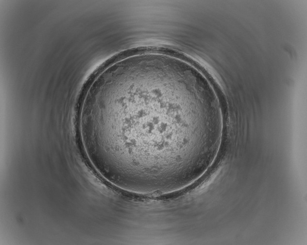 X0000112810783200908211143