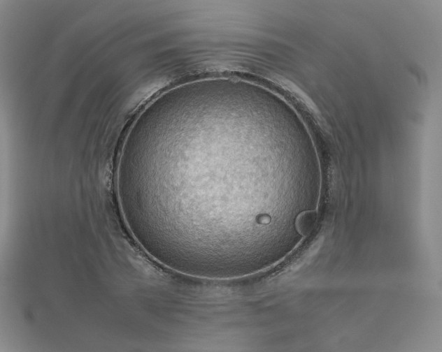 X0000112810785200908211143