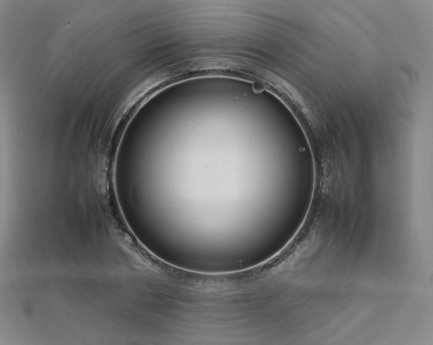 X0000112810786200908211143