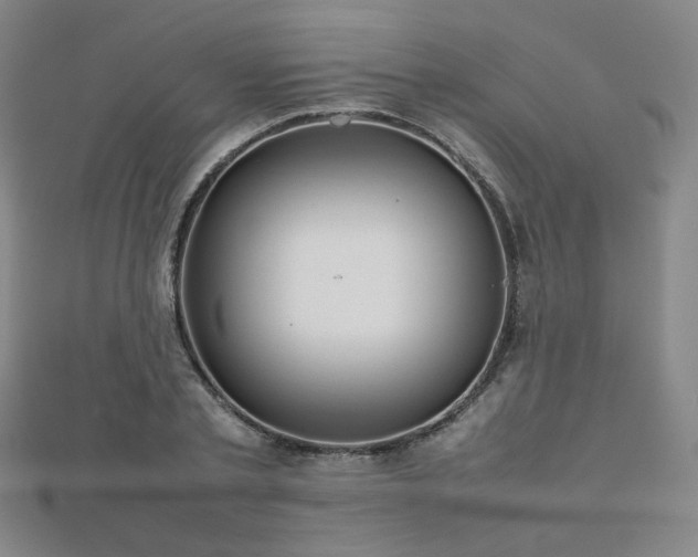 X0000112810789200908211143