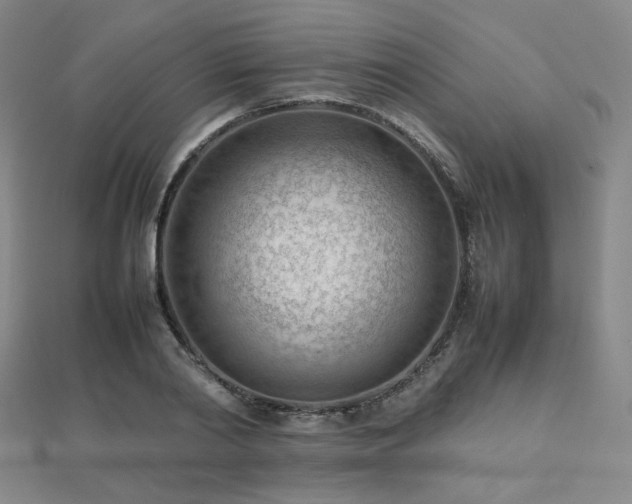 X0000112810790200908211143