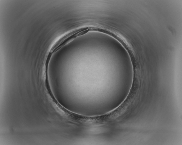X0000112810791200908211143