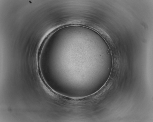 X0000112810792200908211143