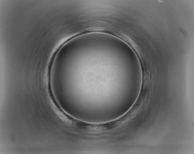 X0000112810795200908211143