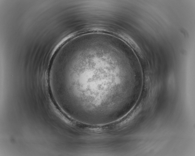 X0000112810798200908211143