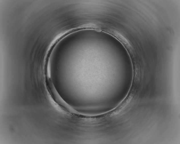 X0000112810800200908211143