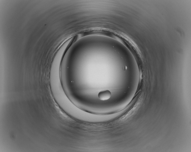 X0000112810801200908211143
