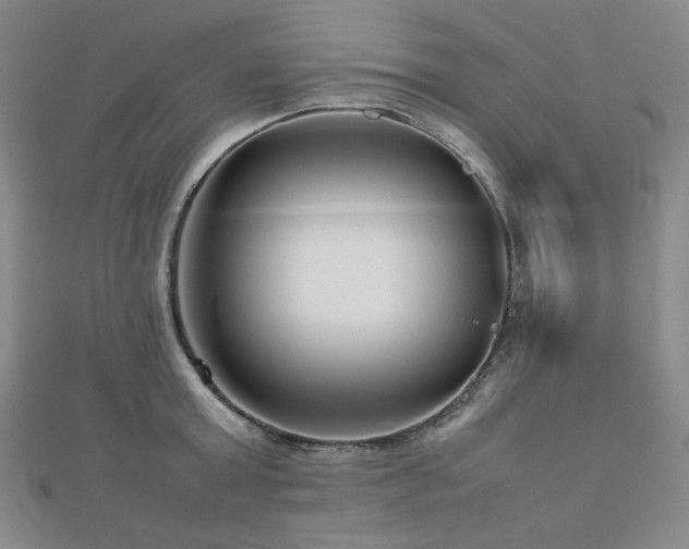 X0000112810803200908211143