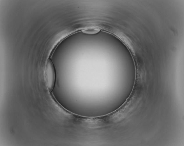 X0000112810805200908211143