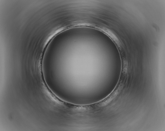 X0000112810806200908211143