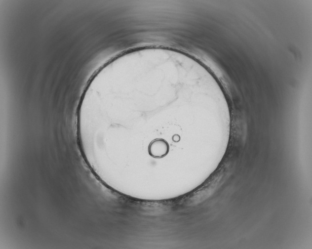 X0000112810807200908211143