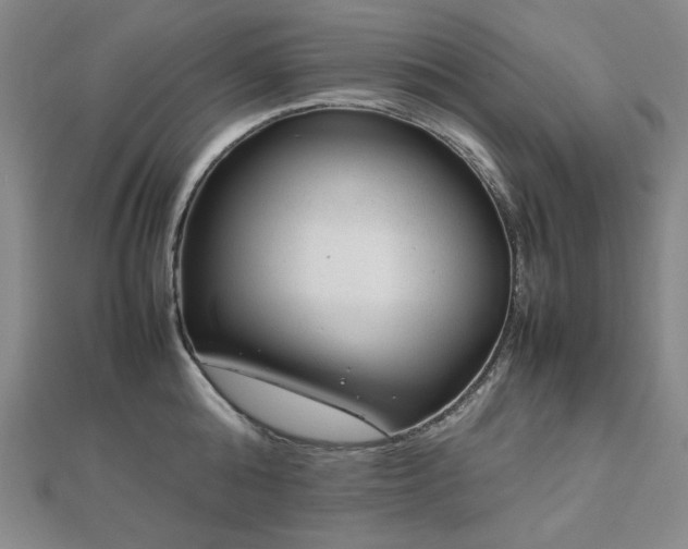 X0000112810808200908211143