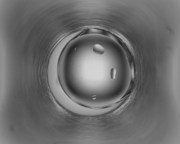 X0000112810809200908211143